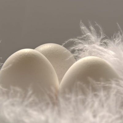 eggs-in-feathers